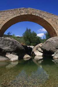 Flor de Englora Montsant Espanha