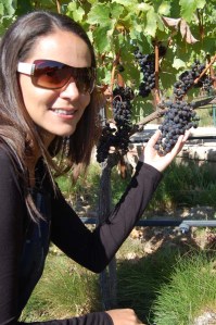 Hall Wines Napa Valley