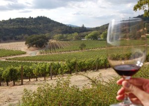 Joseph Phelps Vineyards napa Valley