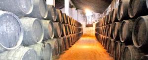solera-vinos-jerez