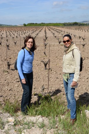 Vega-Sicilia-viñedos-vinhos