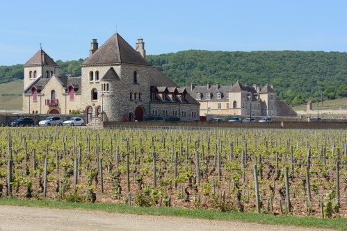 Nuits-Saint-Georges_Bourgogne_Borgonha