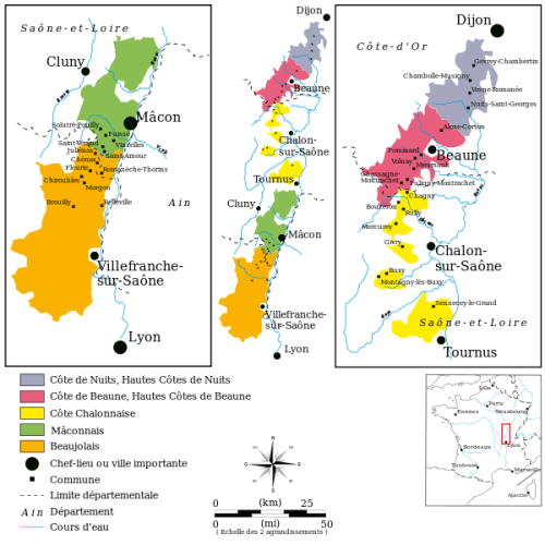 vignoble-bourgogne-região-vinhos-borgonha