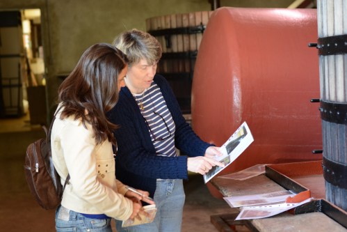 Mademoiselle-Camus-Domaine-Gevrey-Chambertin-Borgonha