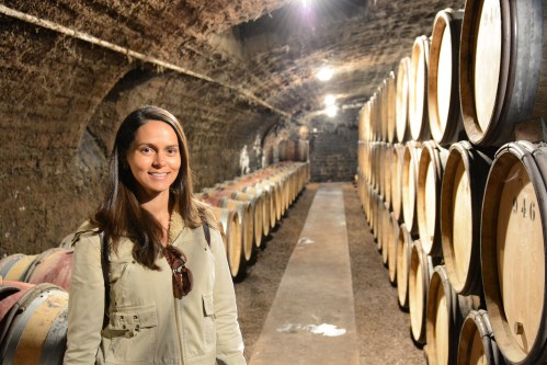 Camus-Domaine-Gevrey-Chambertin-Borgonha