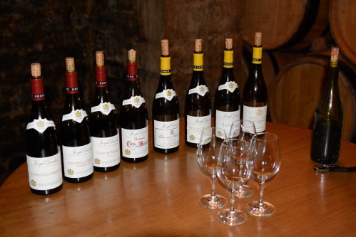 Maison-Joseph-Drouhin-Degustação-Borgonha