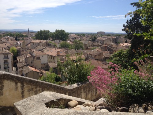 Avignon-Provence-vinhos-enoturismo