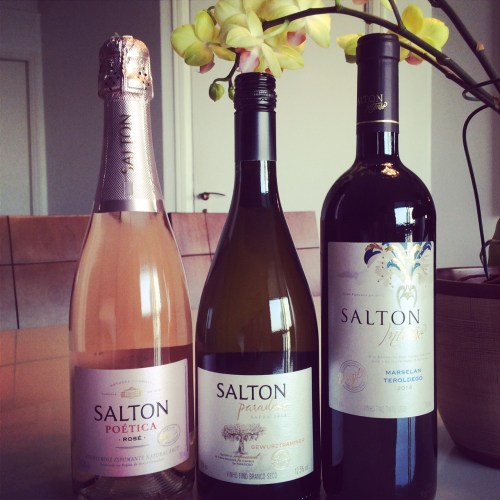 vinhos-salton-wine-bar-online