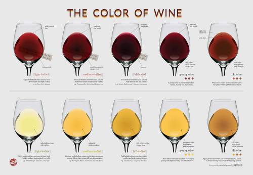 wine-color-chart-peso-do-vinho
