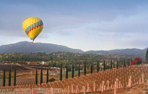 Temecula-valley-enoturismo-estados-unidos