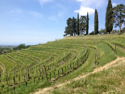 La Rocca Bernarda: propriedade agrícola da Ordem de Malta.