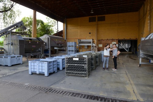 san-esteban-aconcagua-chile--in-situ