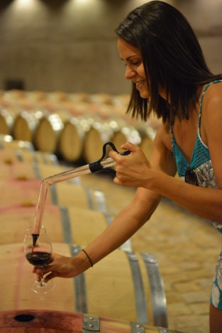 ESTIBA-CATENA-ZAPATA-BARRICA