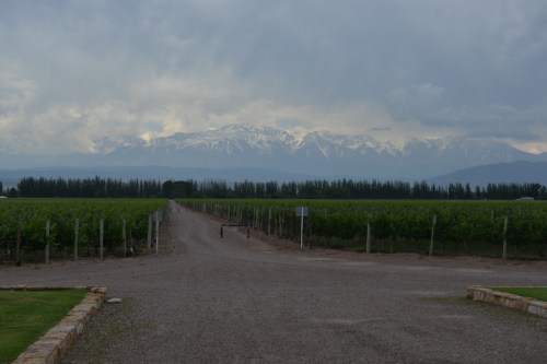 VINHEDOS_CATENA_ZAPATA