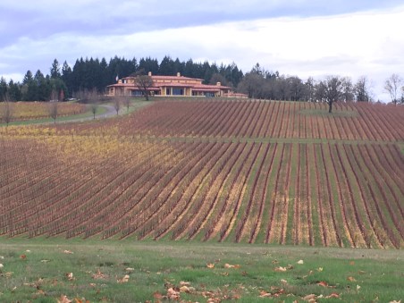 oregon-wineries-vinho-vineyards