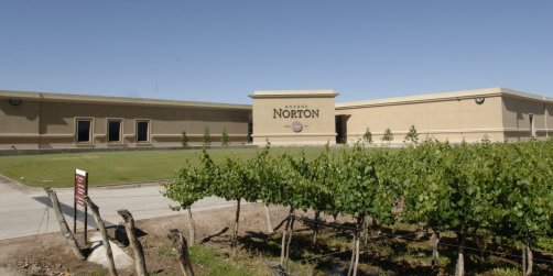 BODEGAS-NORTON-VINOS-ARGENTINA