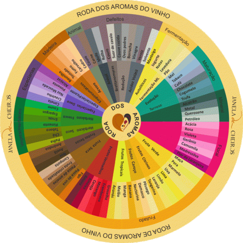roda-dos-aromas-vinho