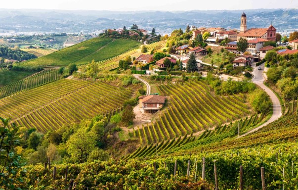 barbaresco-nebbiolo-piemonte-italy-denominazione-di-origine
